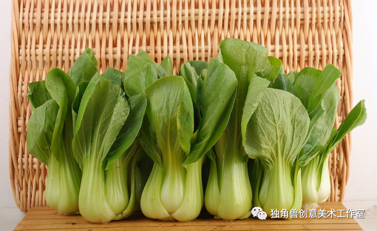 绿油油青菜绘画,蔬菜的绘画教程