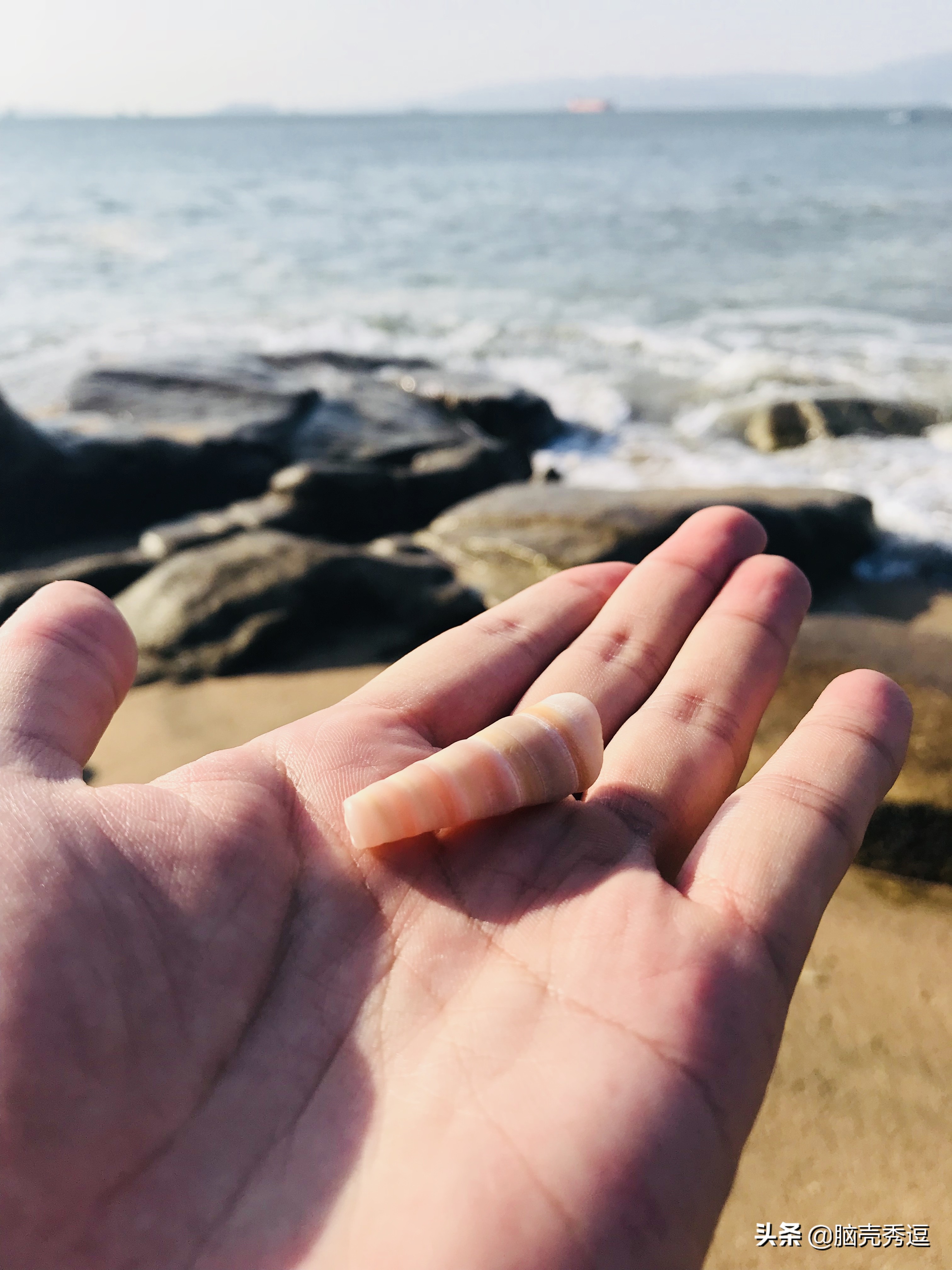 厦门四天自由行攻略最详细,厦门自由行攻略5天详细