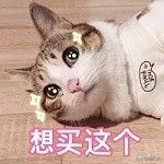 复古音响收音机二合一,木质diy收音机套装