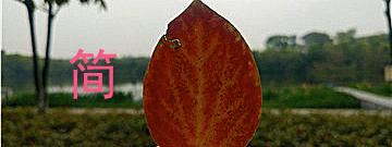 如何缓解自己莫名的焦虑,时间总是不够怎么办