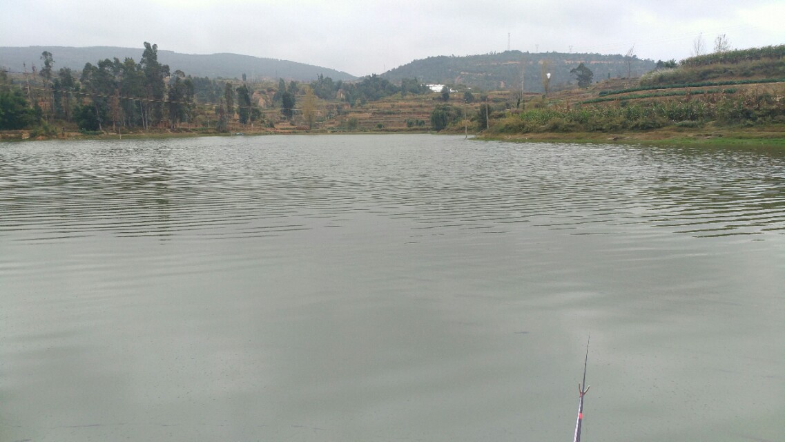 收费100一天的水库,离昆明市区最近的收费钓鱼水库