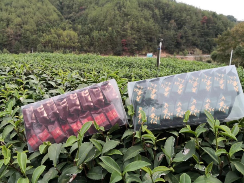 马蜂可以泡几次,马蜂特别多