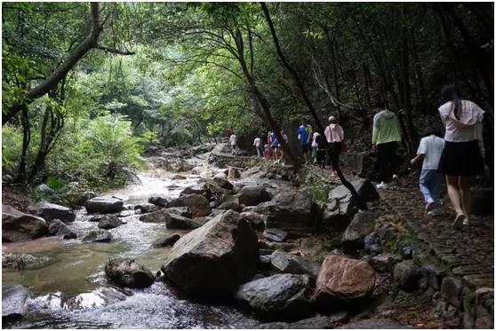 世外桃源亲子游玩好去处,近期广州既安全又好玩的亲子去处