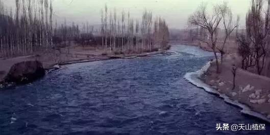 *疆新**库尔勒彻底火了！登上央视让世界瞩目，为库尔勒而骄傲