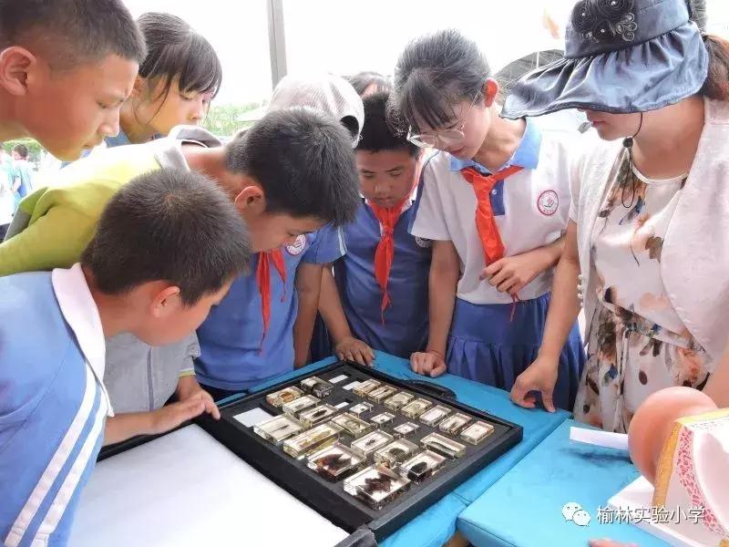 丹青水墨绘童心奇思妙想筑稚梦