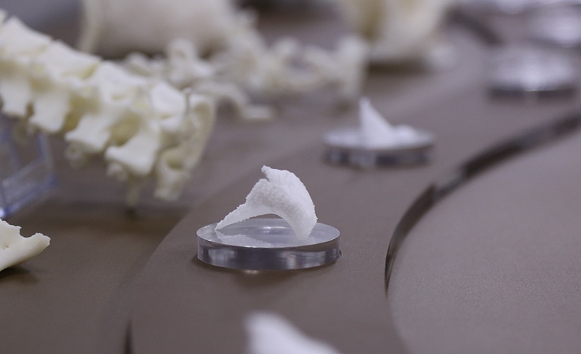 韩国制药公司计划使用3D打印皮肤测试新的皮肤病药物