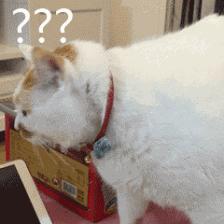 新冠疫情国际谣言,新冠疫情散播谣言的影响