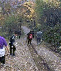 搞笑打电话说尴尬的私事,假装打电话幽默搞笑段子