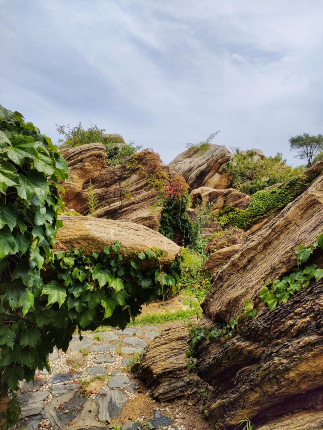 大连金石园奇石名称,大连市金石园