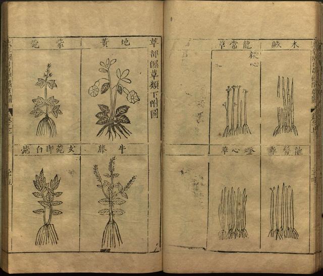 李时珍与本草纲目ppt课件,神农本草经正版李时珍书籍