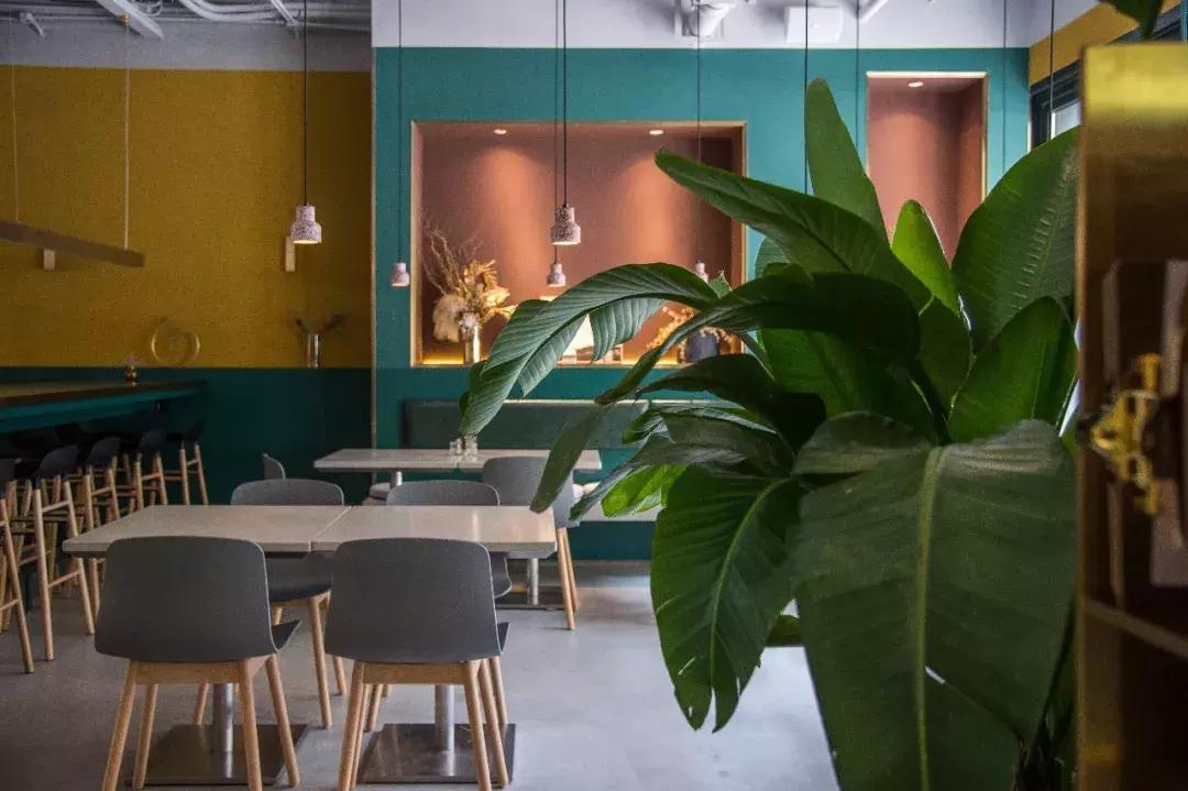 性价比高的大餐馆推荐一下,高性价比最佳餐厅推荐