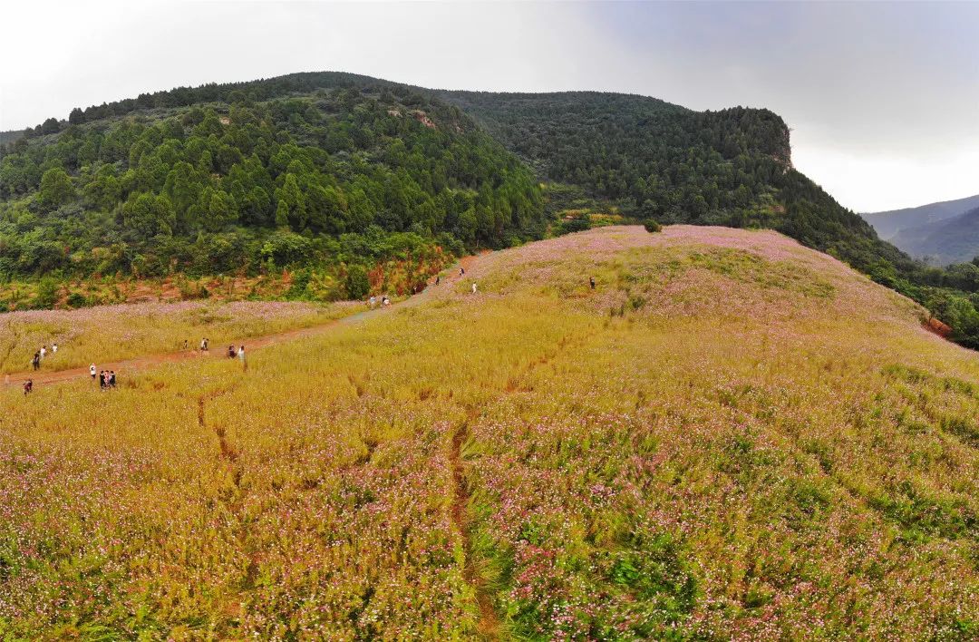 济南必去网红打卡地,济南网红打卡地经三纬三