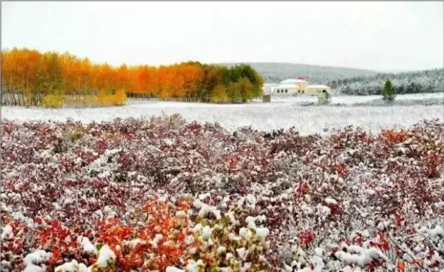 通辽好玩的景点排行榜,通辽霍林河景色