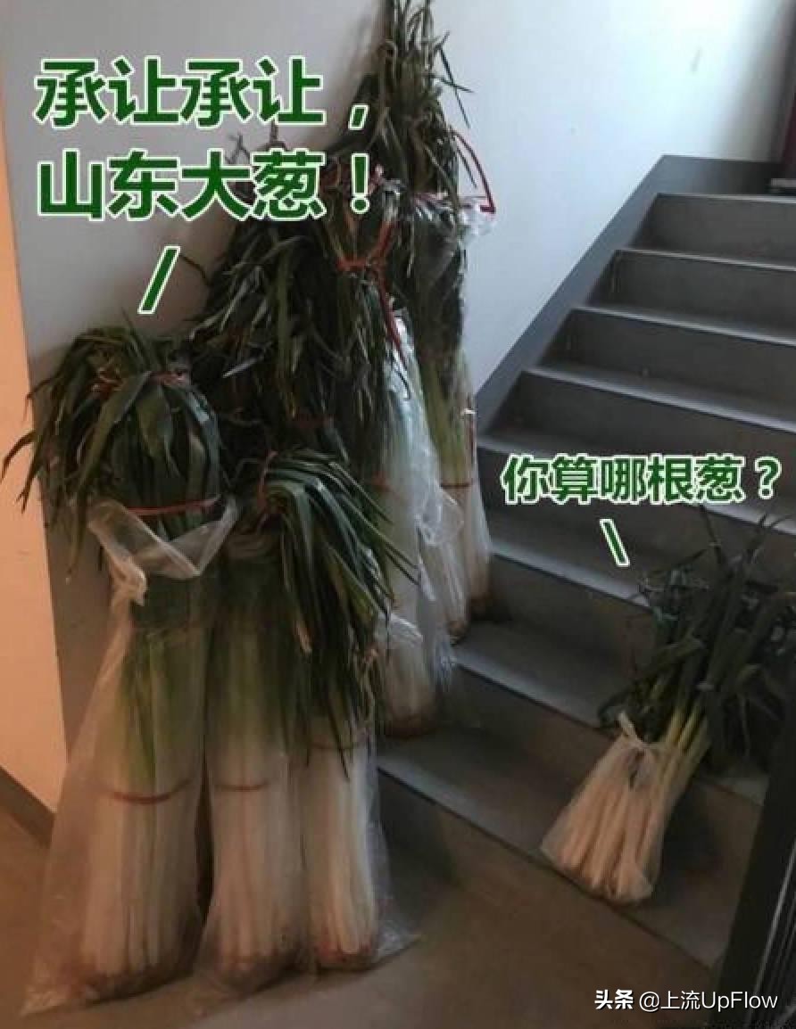 山东矮个子人生活,矮个子笑着活下去