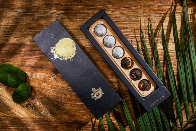 她住在西双版纳17年，再造6666亩雨林，做出了独一无二的茶