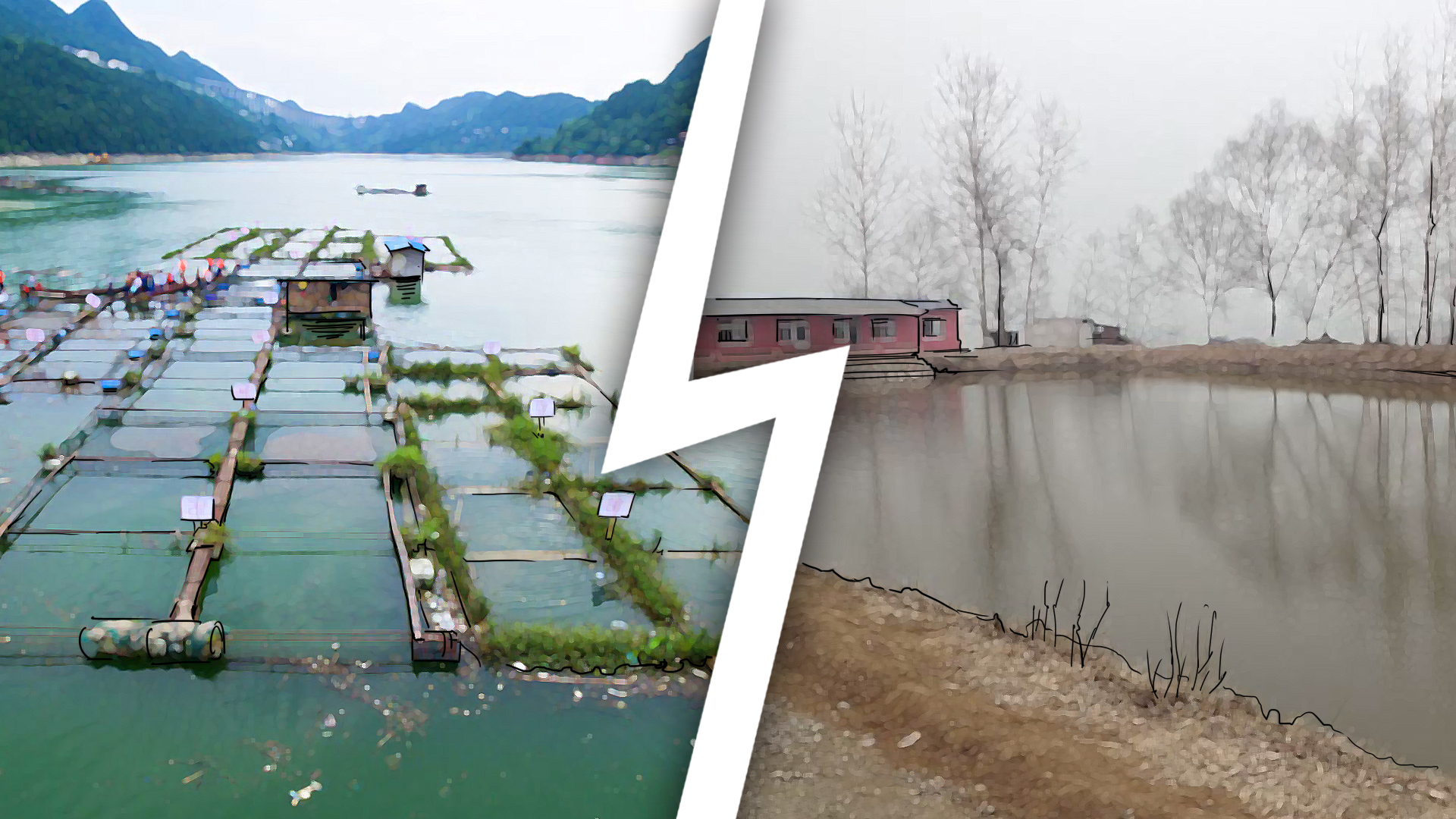 网络曝光坑人的老板,为什么黑坑钓鱼越来越少