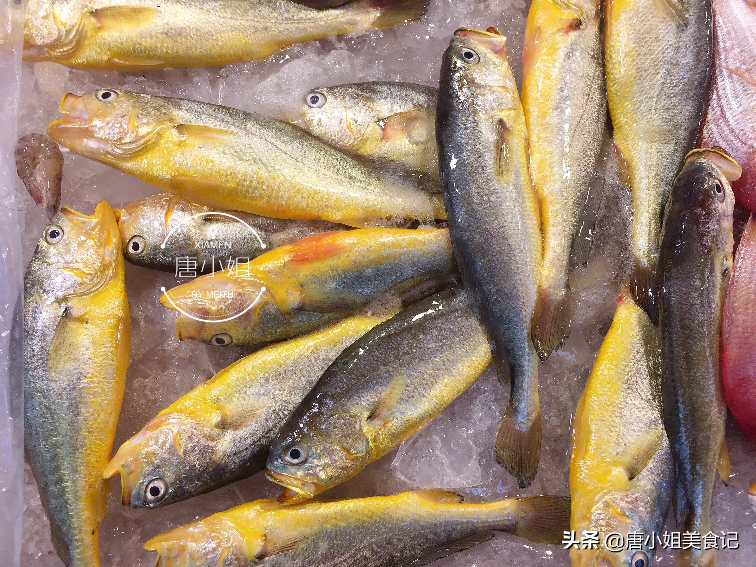 休渔期后有什么鱼,休渔期的鱼多少钱一斤