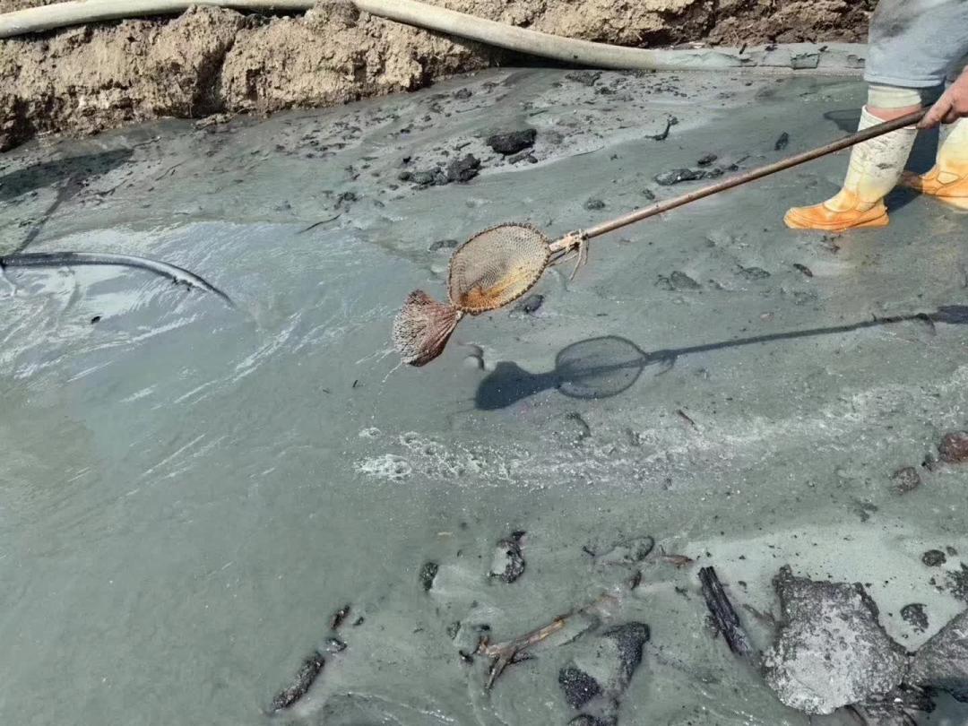 海滩捡蜜蜡,海边捡蜜蜡的利润