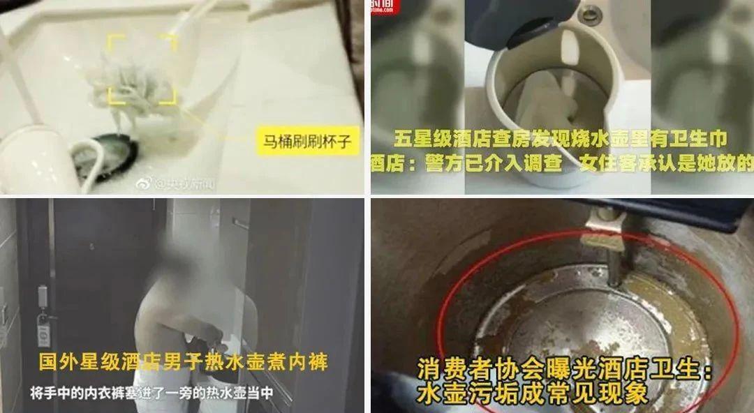 便携烧水杯摩飞和大宇,烧水杯推荐家用网红