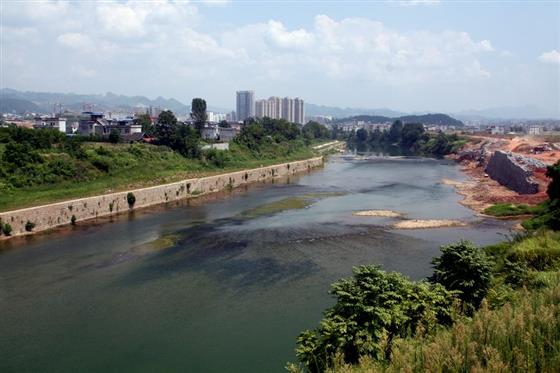 黄山的金凤凰,山沟里的金凤凰湖北