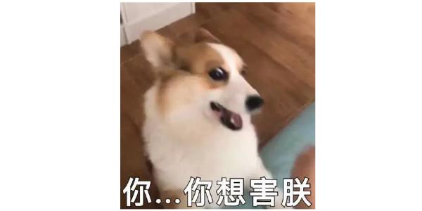 狗狗耳朵有异味发臭用什么药,狗狗耳朵发臭怎么办