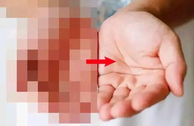 什么软件可以去掉马赛克还原图片,一键去掉视频马赛克软件手机免费