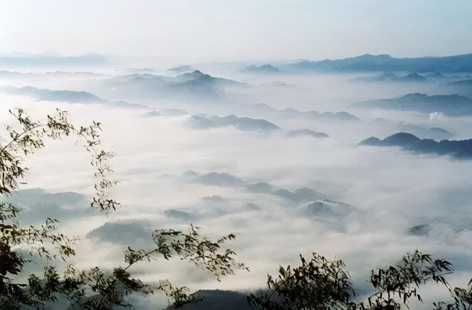 四川宜宾市长宁县竹海新闻,天府竹海景点