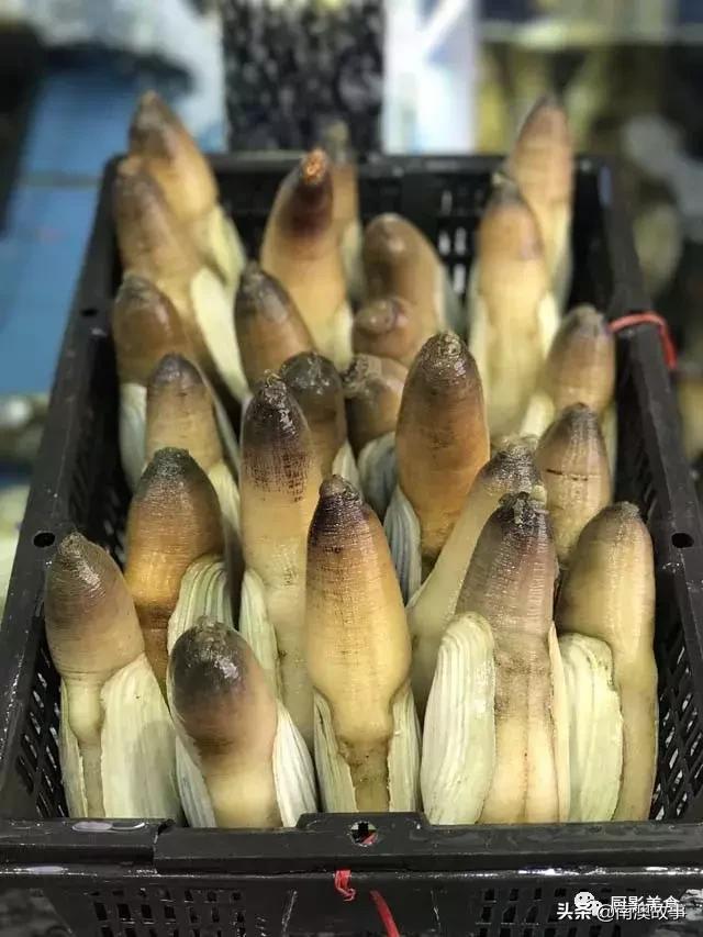 水煮贝壳类海鲜煮多久,海边海鲜用什么水煮好吃