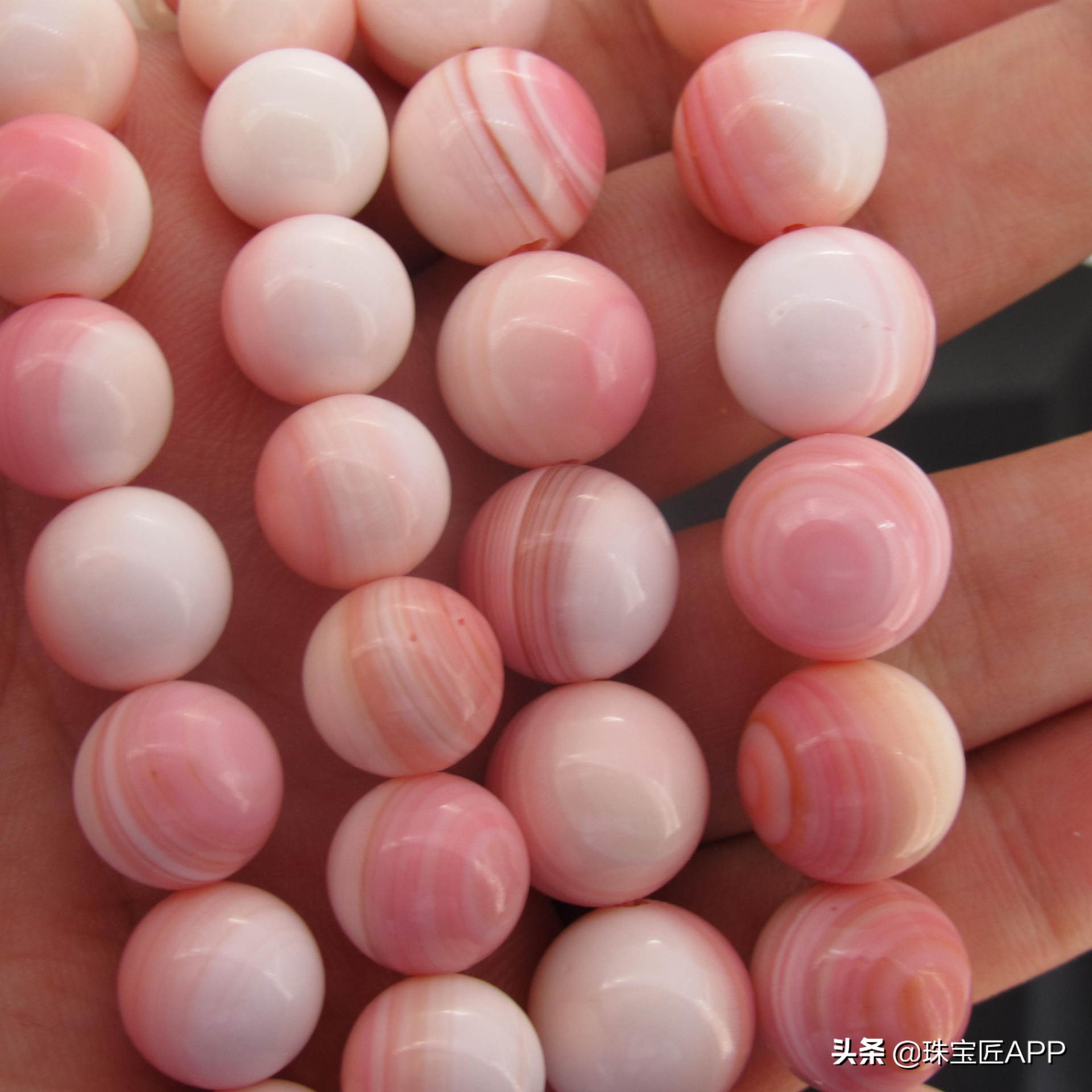 贝壳手工珠宝首饰,贝壳珠宝有哪些