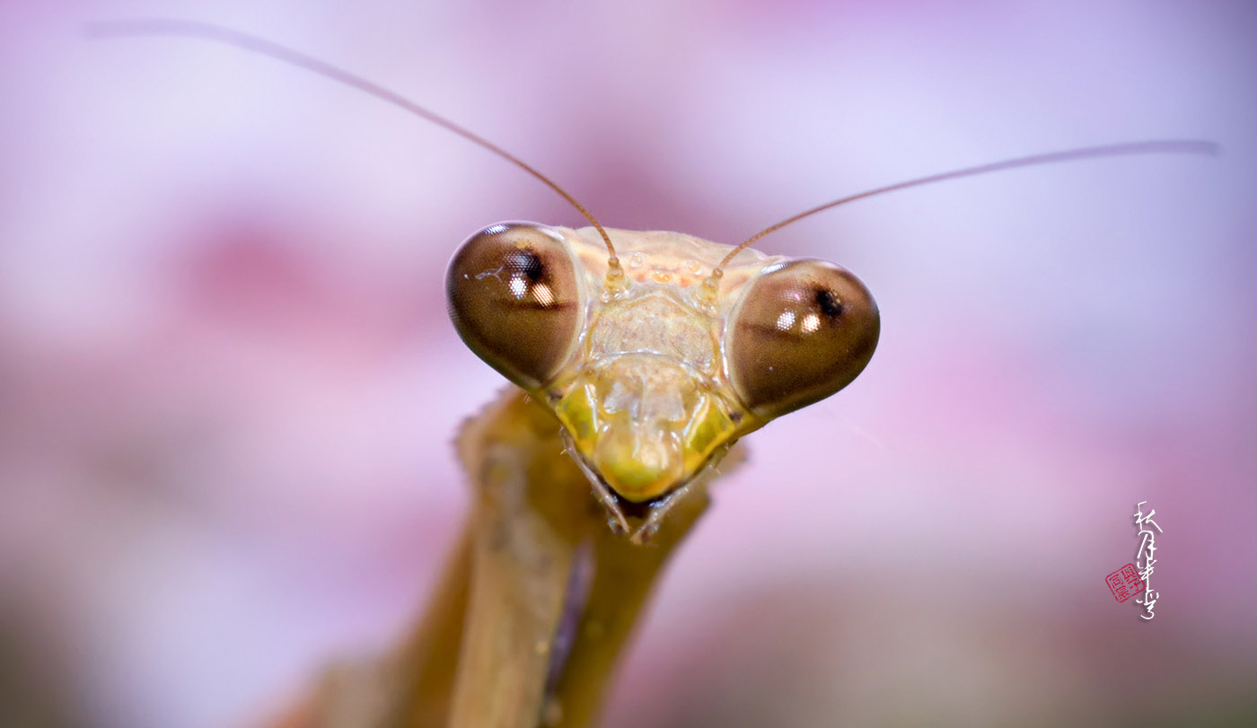 关于二手设备的问题,关于二手东西