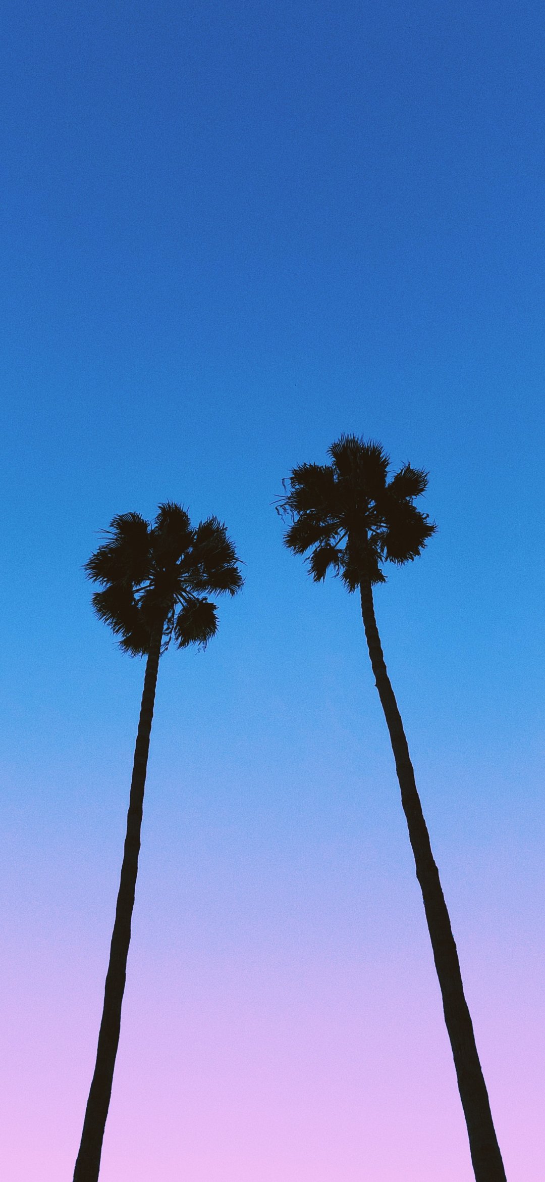 九款惊艳的壁纸推荐,精选壁纸3788