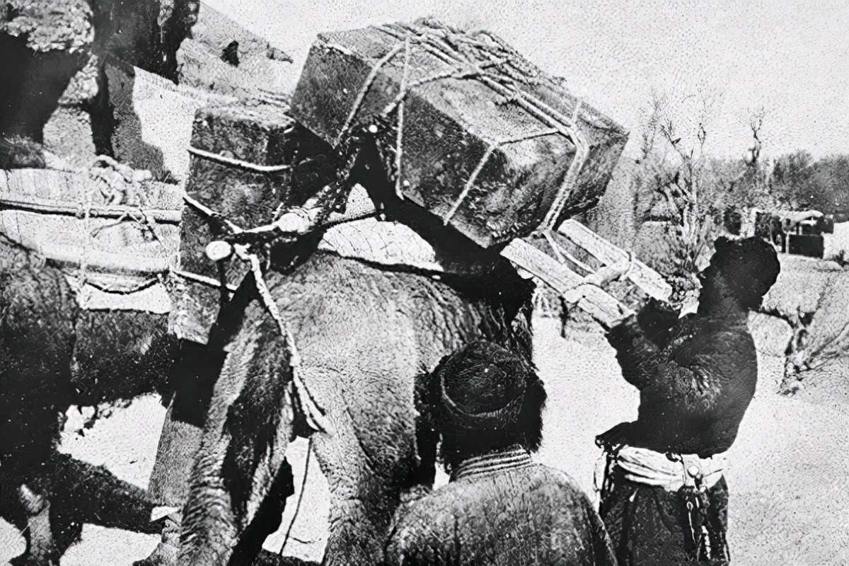 再见敦煌莫高窟,真实的敦煌莫高窟