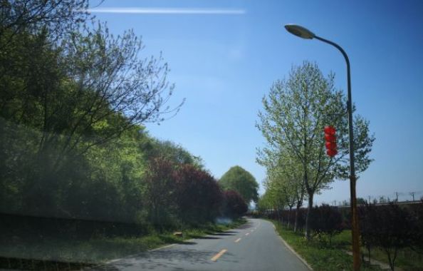 南京免费公园免费开放日一览表,南京免费公园景点推荐