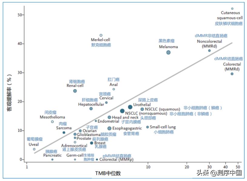ngs技术有必要做吗,ngs检测对于病理科的意义