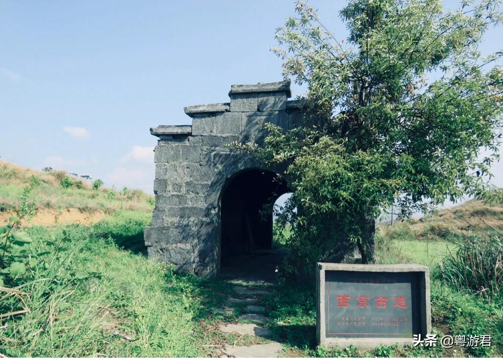 杨贵妃吃的荔枝在什么地方的,杨贵妃吃灵山荔枝