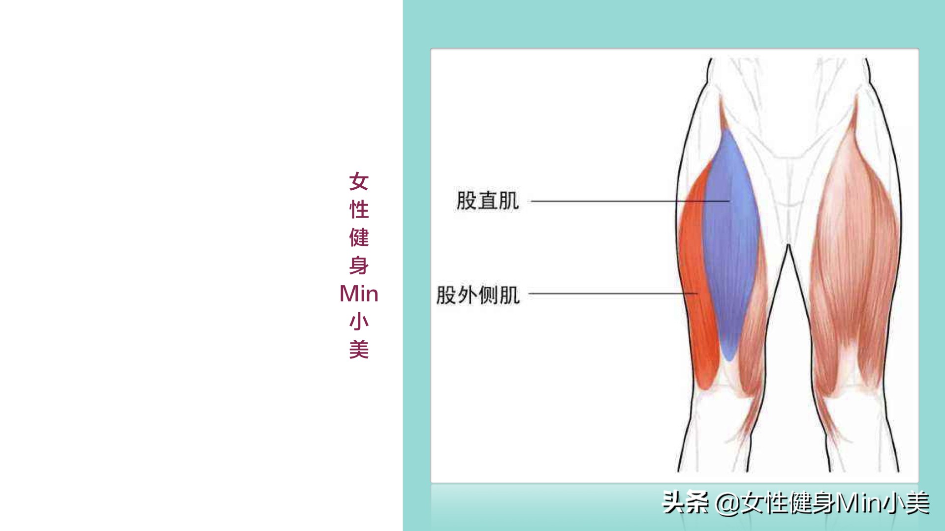 假胯宽、大腿外侧太粗都和它有关，一套动作帮你改善，重点是坚持