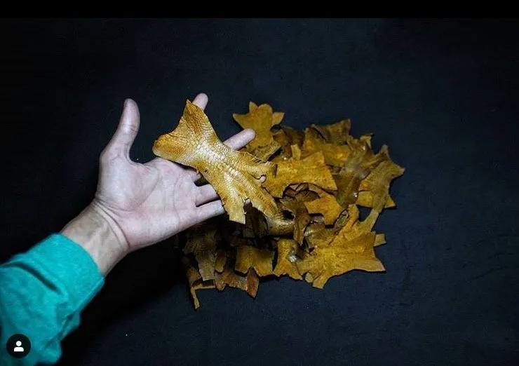 不一样的爱马仕,高端皮鞋品牌鳄鱼皮