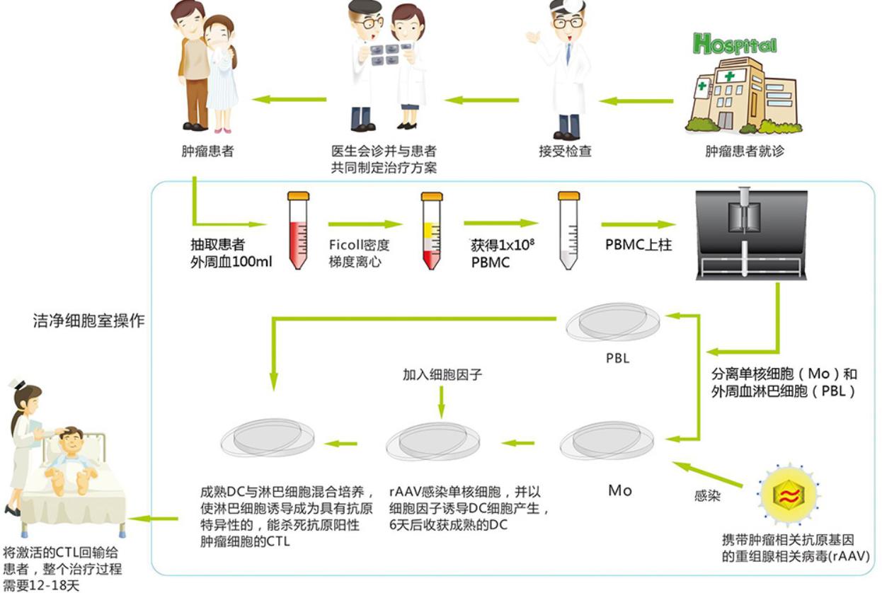 我国免疫规划的发展历程,中国免疫菌发展历程