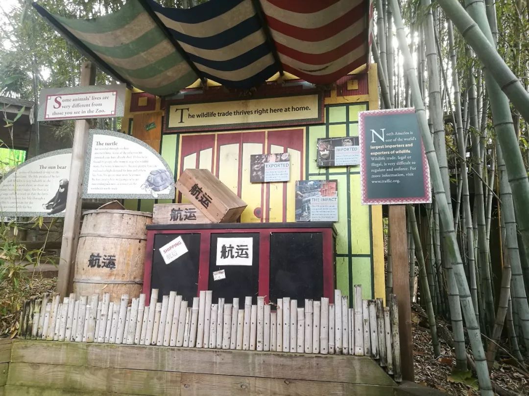 亚特兰大动物园,亚特兰大动物园和华盛顿动物园