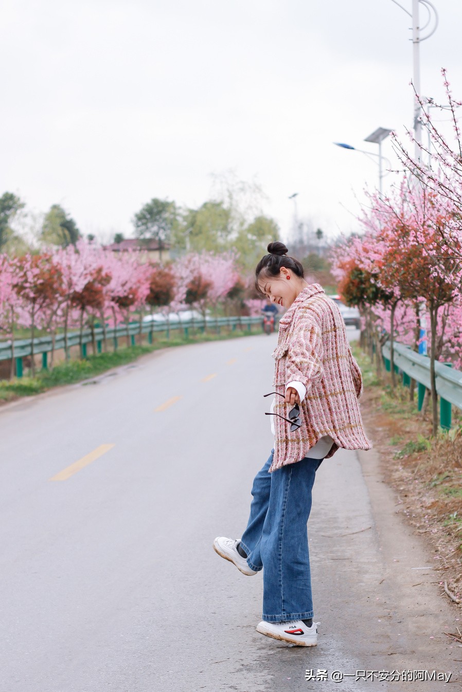 汉中洋县油菜花旅游地点推荐,汉中看油菜花是去洋县还是西乡