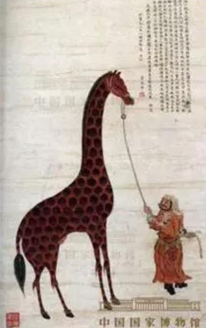 中国首只人工繁殖的长颈鹿,中国第一长颈鹿