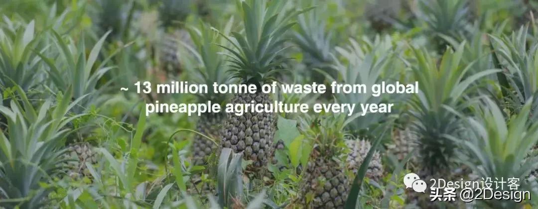 Gucci、HM都在用，一条用垃圾做的裙子，拯救了无数的小动物..