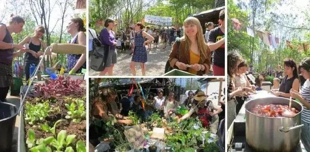 农庄餐饮怎么经营赚钱,怎么经营农家乐卖菜生意