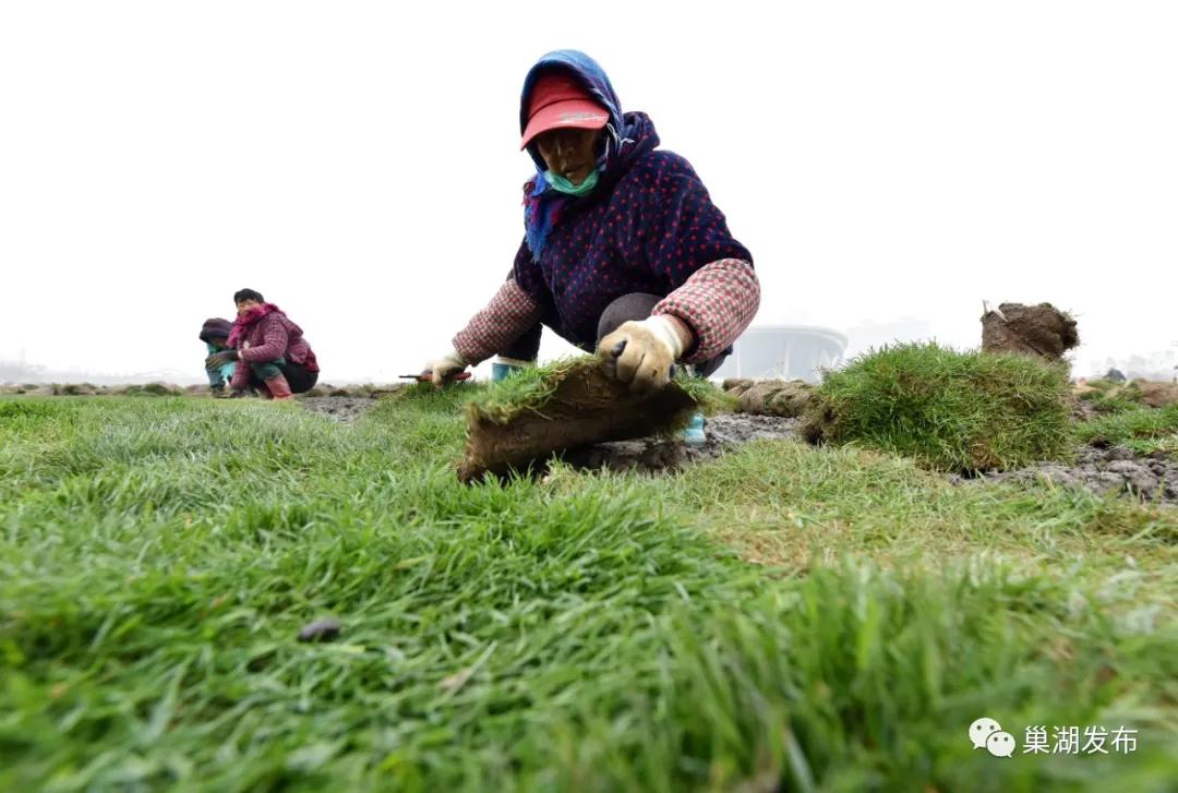 最好的人工草坪足球场,巢湖免费足球场