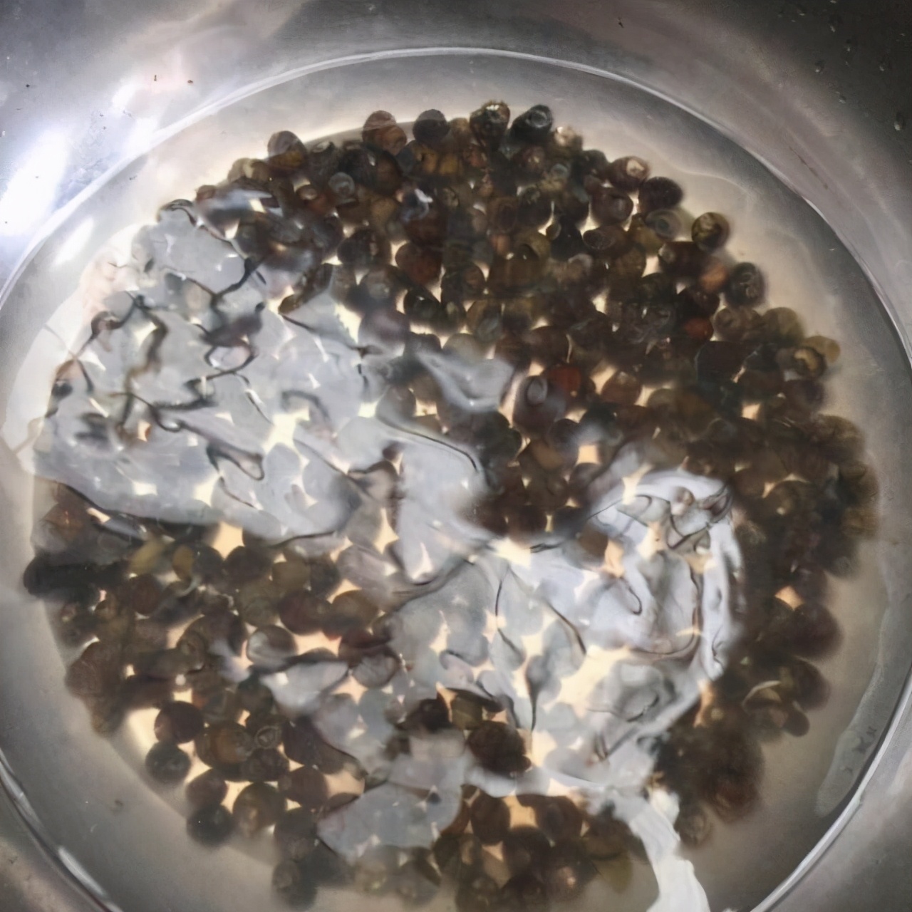 田螺屁股的处理方法,没剪屁股的田螺怎么处理