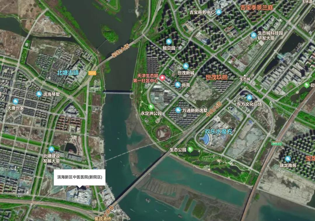 滨海新区未来10年发展,滨海新区人口近十年变化