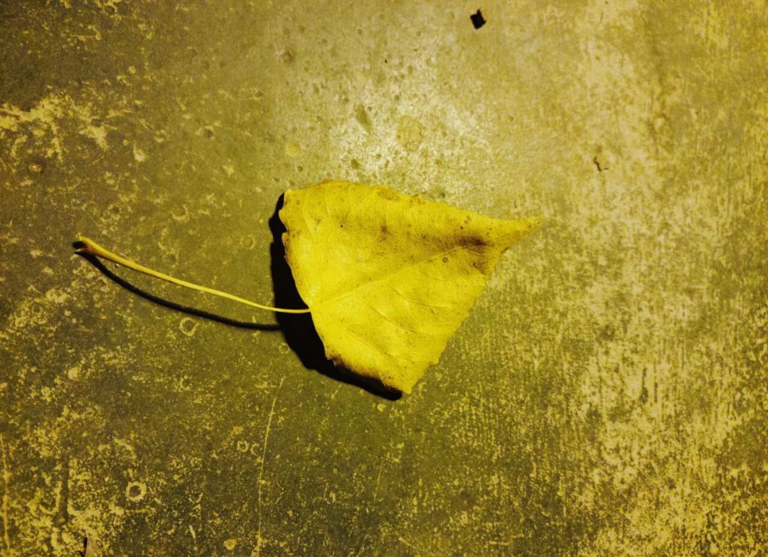 生死之外无大事出自哪,生死之外无大事的感悟