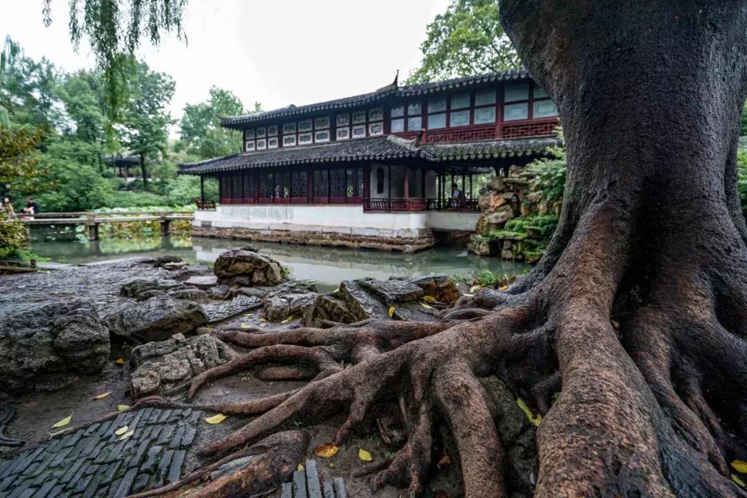 探访苏州老景区拙政园,苏州拙政园因谁出名