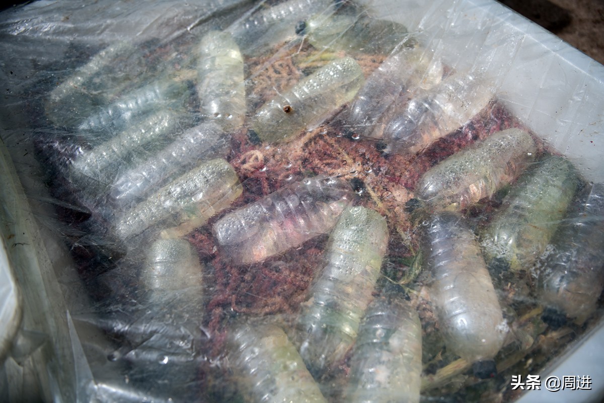 56岁搬运工,农村小伙土特产搬运工