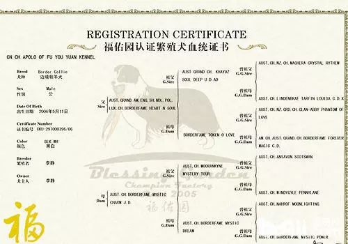 纯种狗怎么来的,怎样培育纯种狗